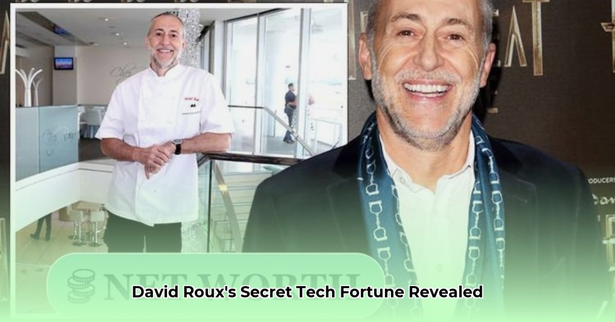 david-roux-net-worth